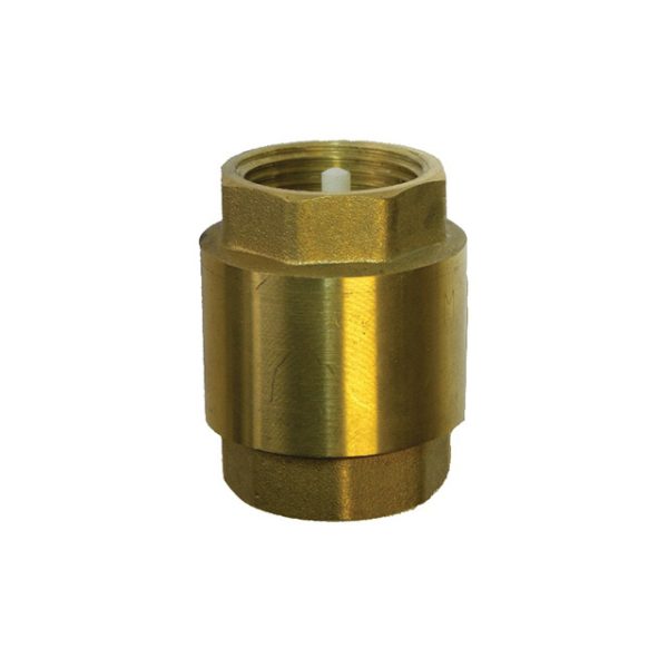 Brass Spring Check Valve Plastic Poppet